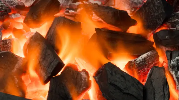 七輪で焼く塩ホルモンの魅力｜大村で味わう本格焼肉